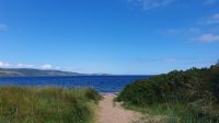 Chanonry Point im Moray Firth 20230801 133809