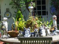 Clovelly Village