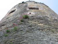 Conwy Castle