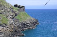 Cornische Küste bei Tintagel