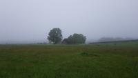 Culloden Battlefield