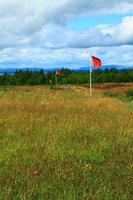Culloden Moor 