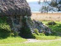 Culloden Moor