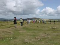 Dartmoor - Fotostopp