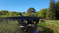 Dartmoor 20180514 174545