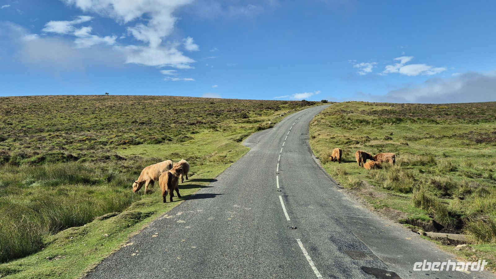 Dartmoor