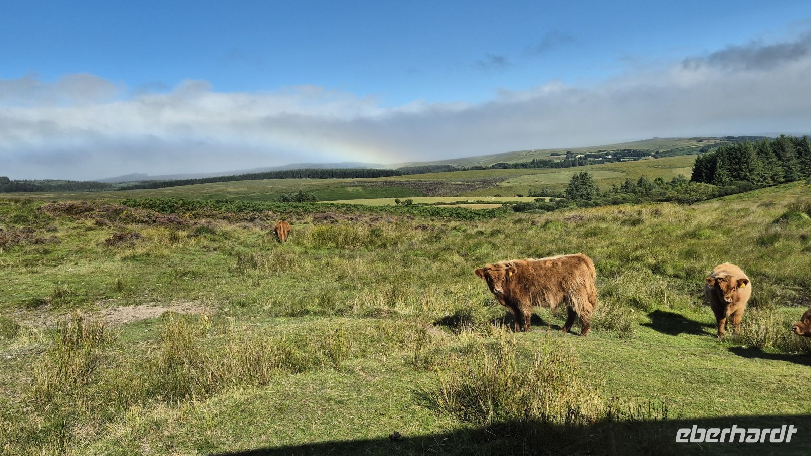 Dartmoor