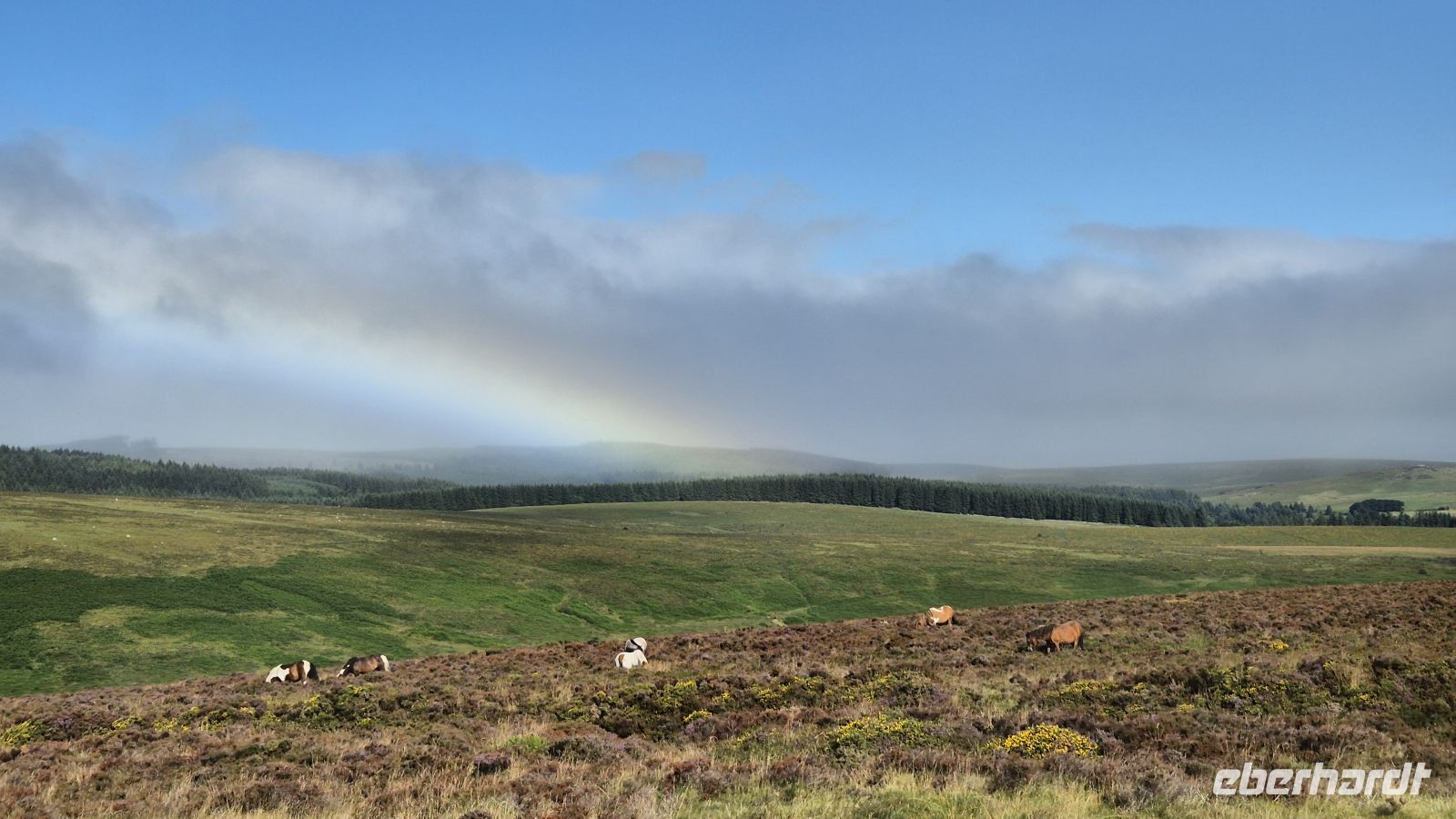 Dartmoor