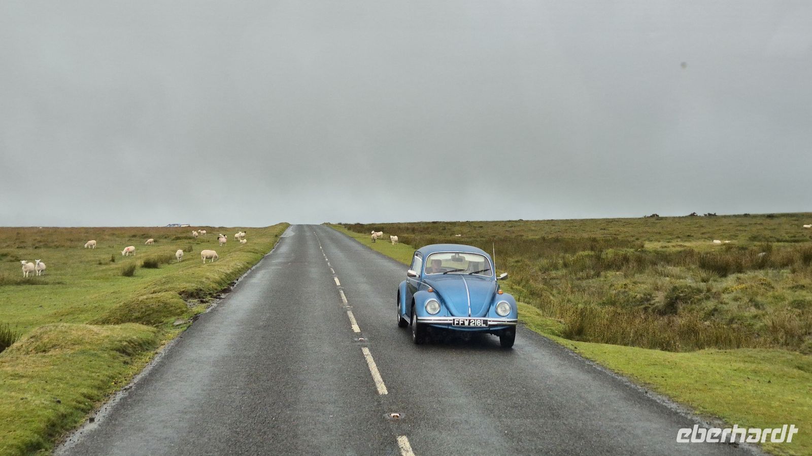 Dartmoor
