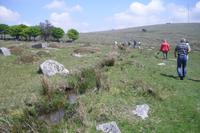 Dartmoor