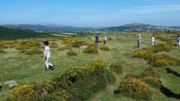 Dartmoor