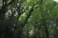 Dartmoor