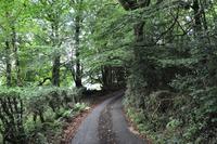 Dartmoor