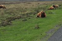 Dartmoor