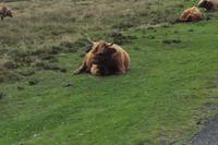Dartmoor