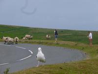 Dartmoor