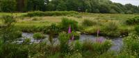 Dartmoor