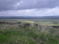 Dartmoor