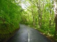 Dartmoor