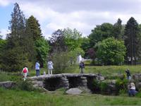 Dartmoor