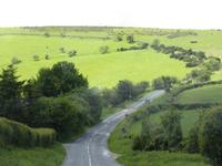 Dartmoore 1