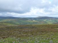Dartmore - Haytor