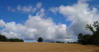 Das Wetter wird besser