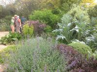 Denmans Garden
