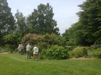 Denmans Garden