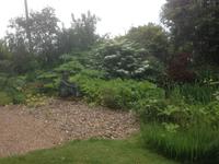 Denmans Garden