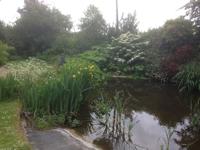 Denmans Garden