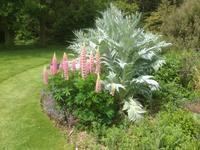 Denmans Garden
