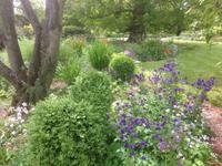 Denmans Garden