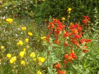 Denmans Garden