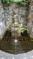 Detail im Glenveagh Nationalpark