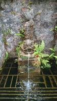 Detail in Glenveagh