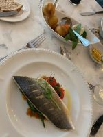 Dinner Main Course