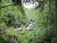 Dunkeld - Hermitage