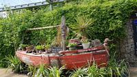 Eden Project 20180517_113836