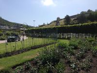 Eden Project
