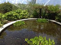 Eden Project