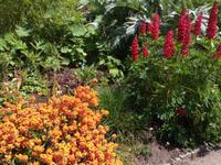 Eden Project