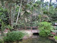 Eden Project
