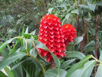 Eden Project