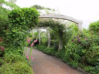 Eden Project