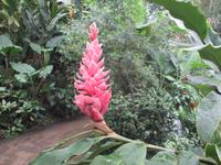 Eden Project