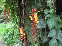 Eden Project