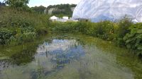 Eden Project