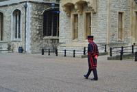 Ein Tower Beefeater auf Kontrollgang