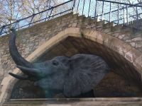 Elefant im Tower 